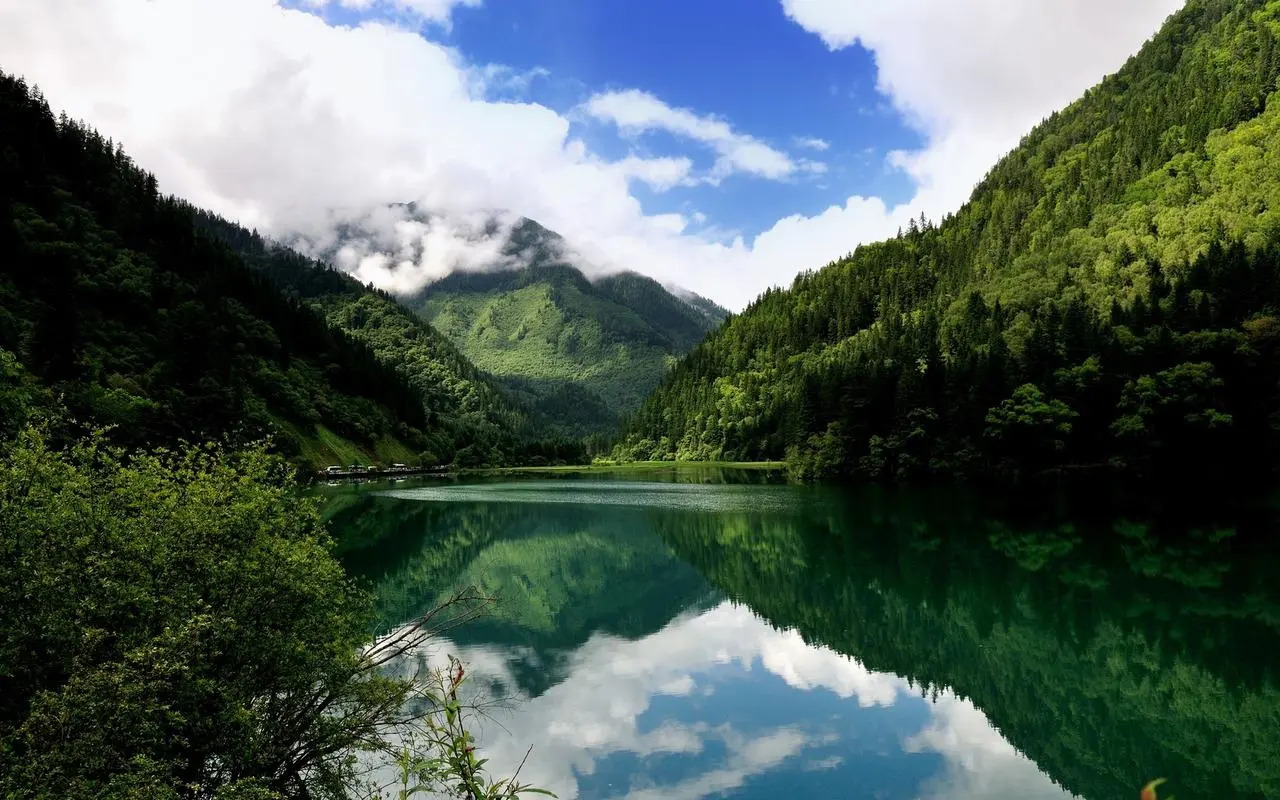高端高端